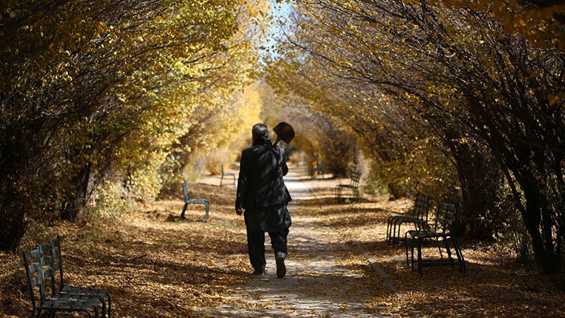 Afganistan'da sonbahar güzelliği