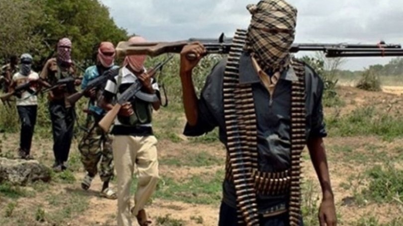 Boko Haram'ın rehin aldığı 26 görevli kurtarıldı
