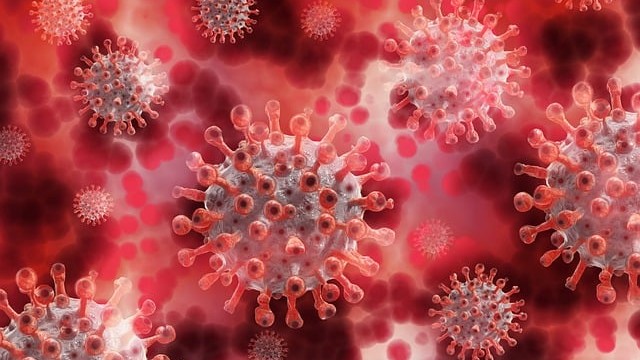 Sadece Erkekleri Öldüren Virüs Nedir?