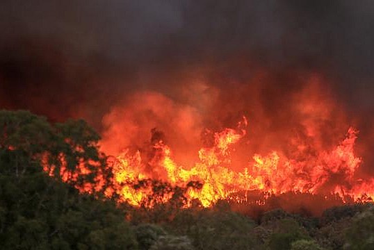 Azerbaycan'da orman yangını