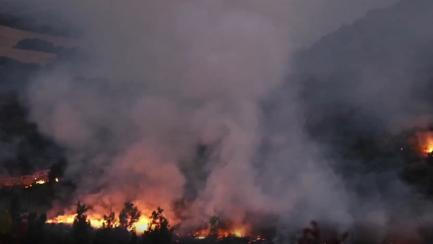 Bulgaristan'da orman yangını çıktı