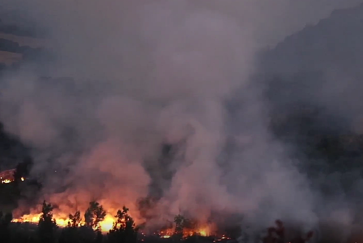 Bulgaristan'da orman yangını çıktı