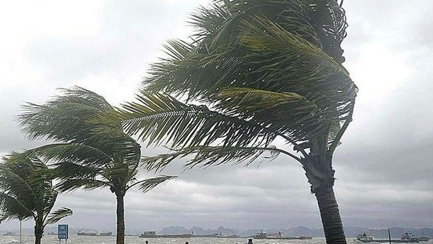 Antalya'da fırtınada devrilen ağaçlar ve uçan çatı parçaları ekiplerce temizlendi
