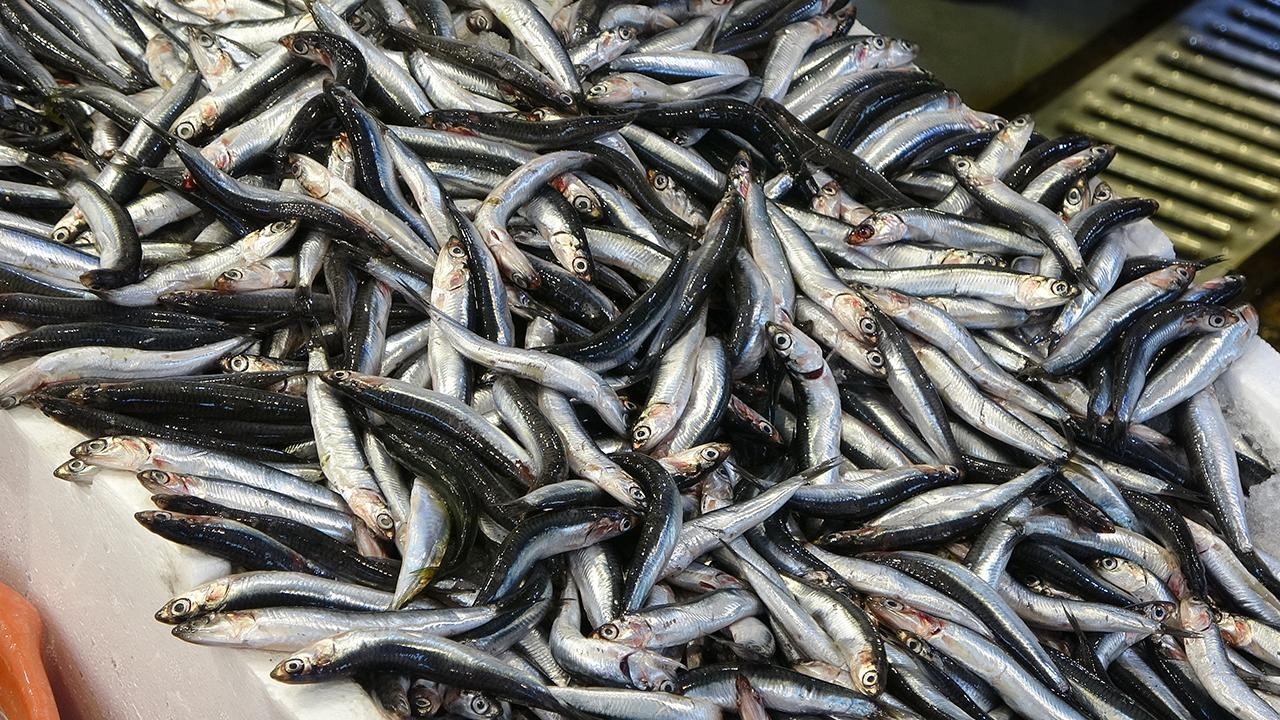 Balık deyip geçme! 3,9 milyon dolarlık ihraç
