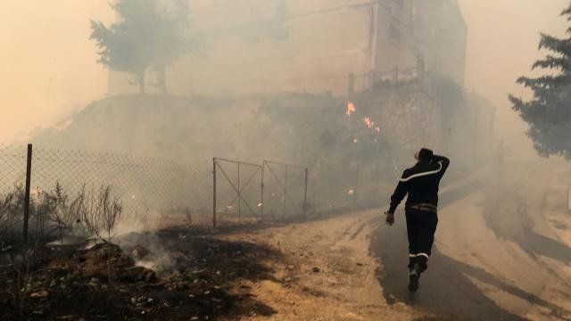 Cezayir'deki yangınlarda can kaybı artıyor