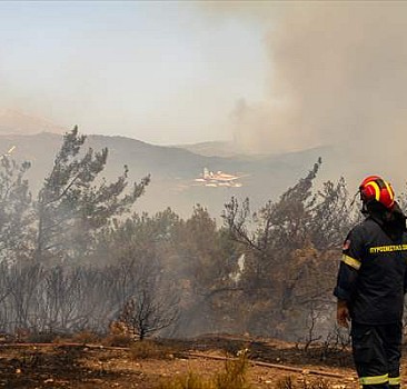 Kahramanmaraş'ta orman yangını evlere sıçradı
