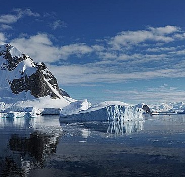 Çevresel Farkındalık: Semtimizdeki Antarktika