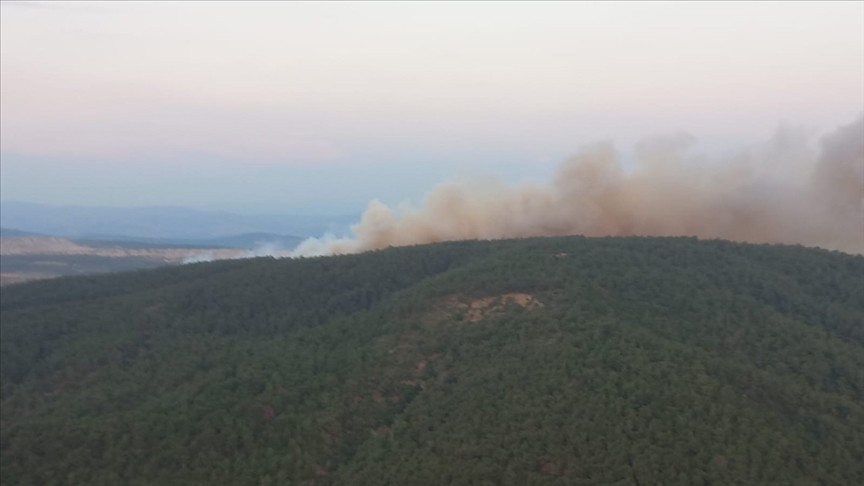 Manisa Deniş Köyü'ndeki ormanlık alanda yangını çıktı