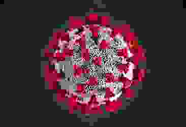 5 Kasım koronavirüs tablosu açıklandı