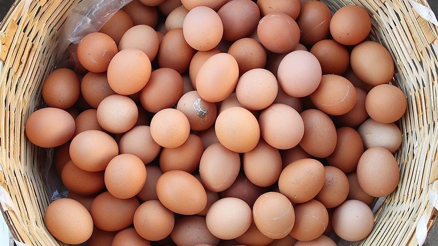 Yumurta sektörüne soruşturma başlatıldı