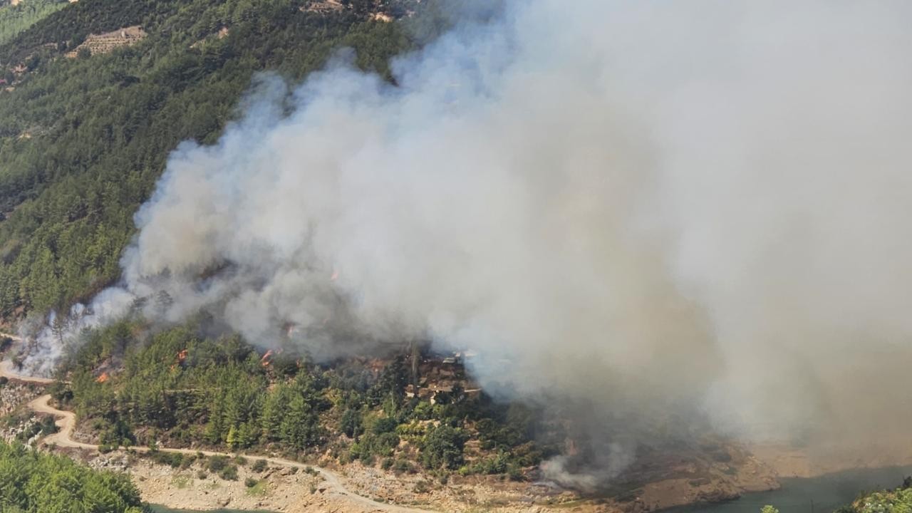 Alanya'da ormanlık alanda yangını