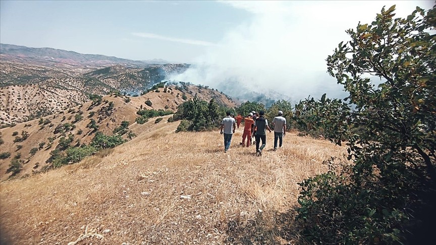 Bingöl'de korkutan orman yangını