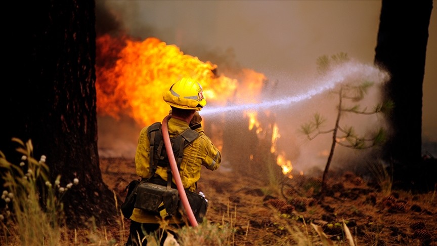 New Mexico'da orman yangınları sürüyor