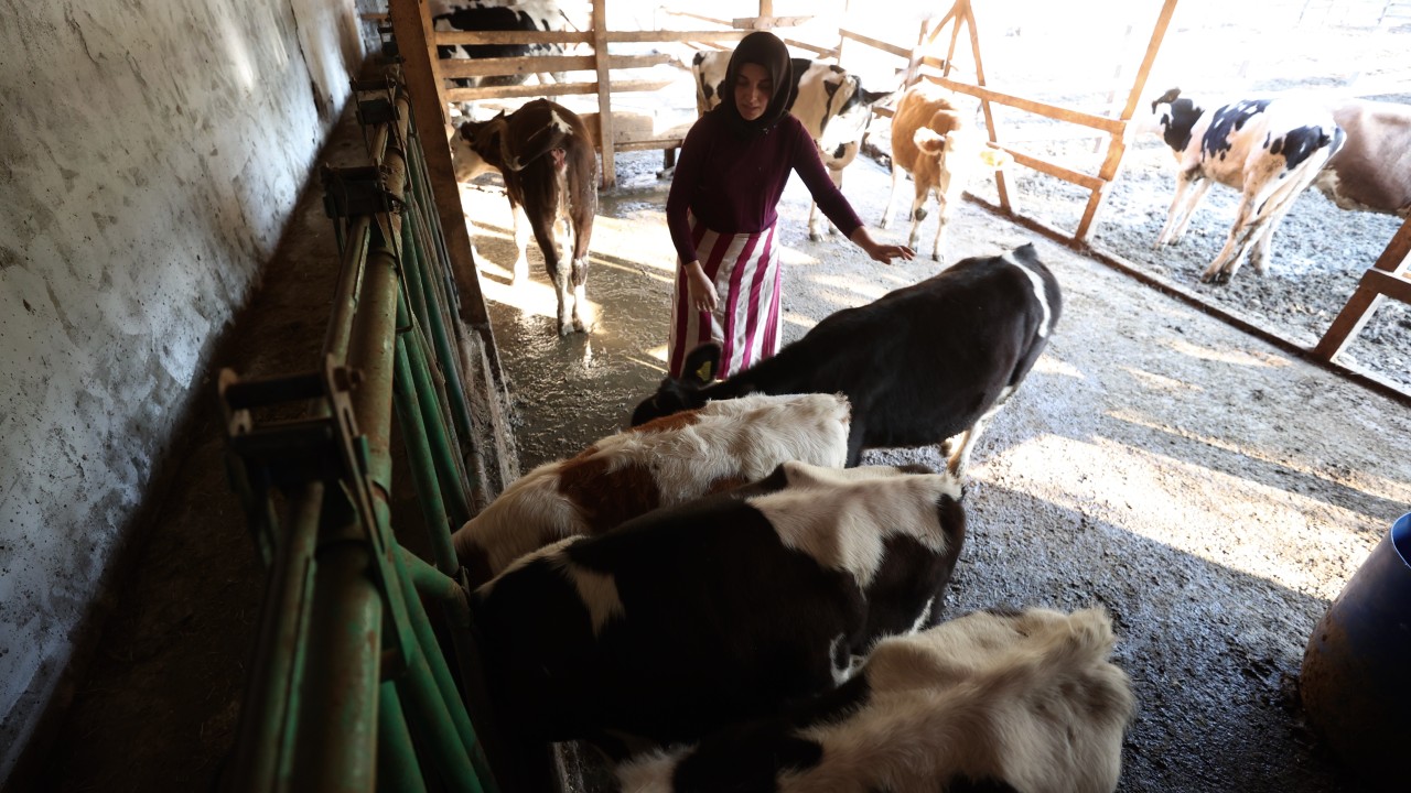 Bir inekle başladı, devlet desteğiyle çiftlik kurdu
