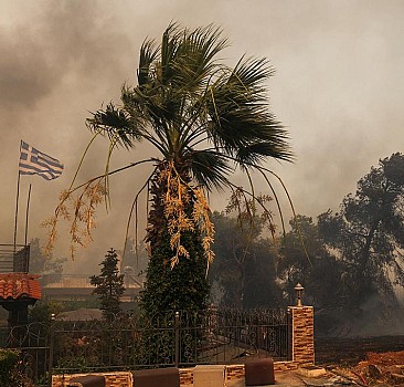 Yunanistan'da yangın söndürme uçağı düştü