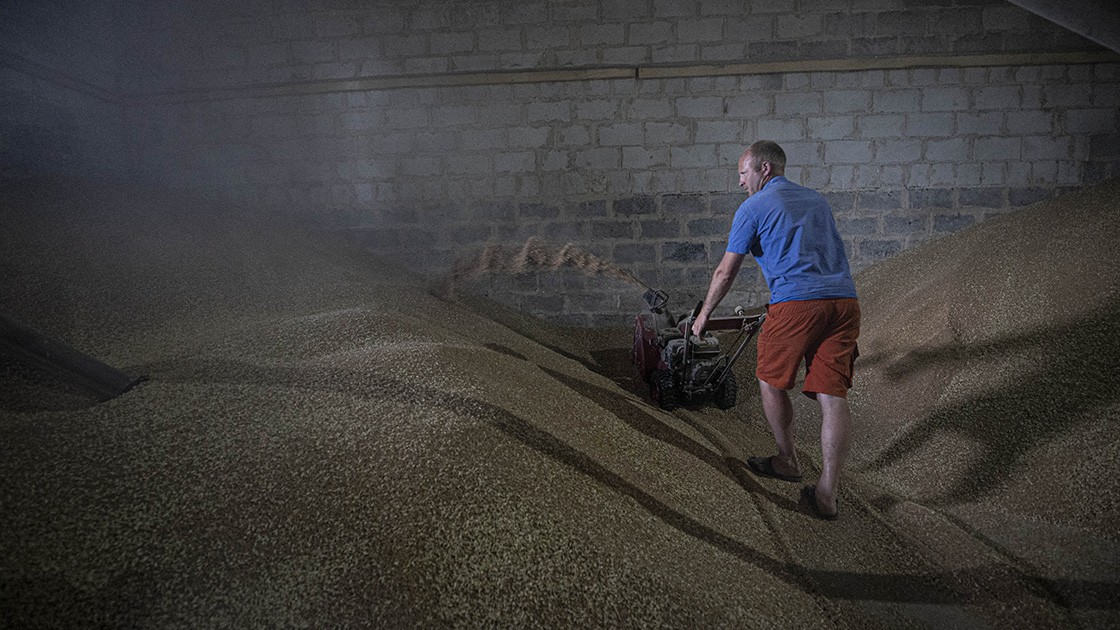 Ukraynalı çiftçiler buğday satmakta zorlanıyor