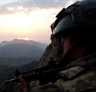 MSB'den 'Her dağın zirvesi Mehmetçik' videosu