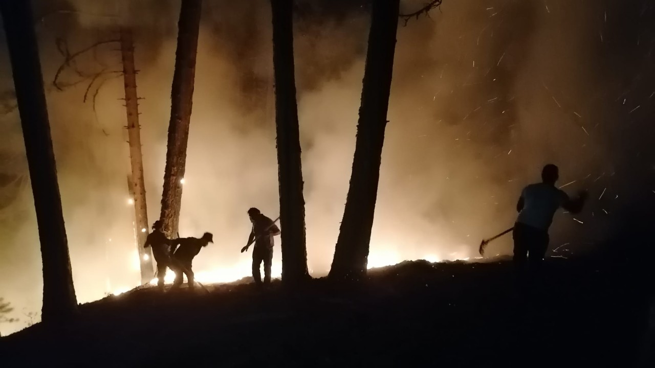 Aydın'daki orman yangınına müdahale devam ediyor