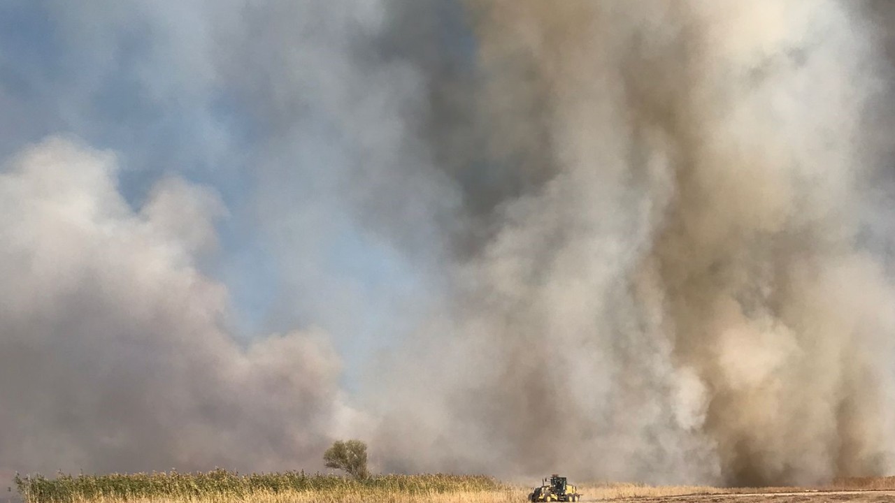 Afyonkarahisar'daki kamışlık alanda yangın çıktı