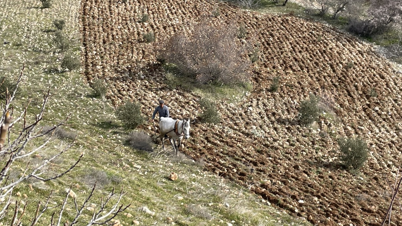 Deprem bölgesinde tarımsal faaliyet hareketleniyor