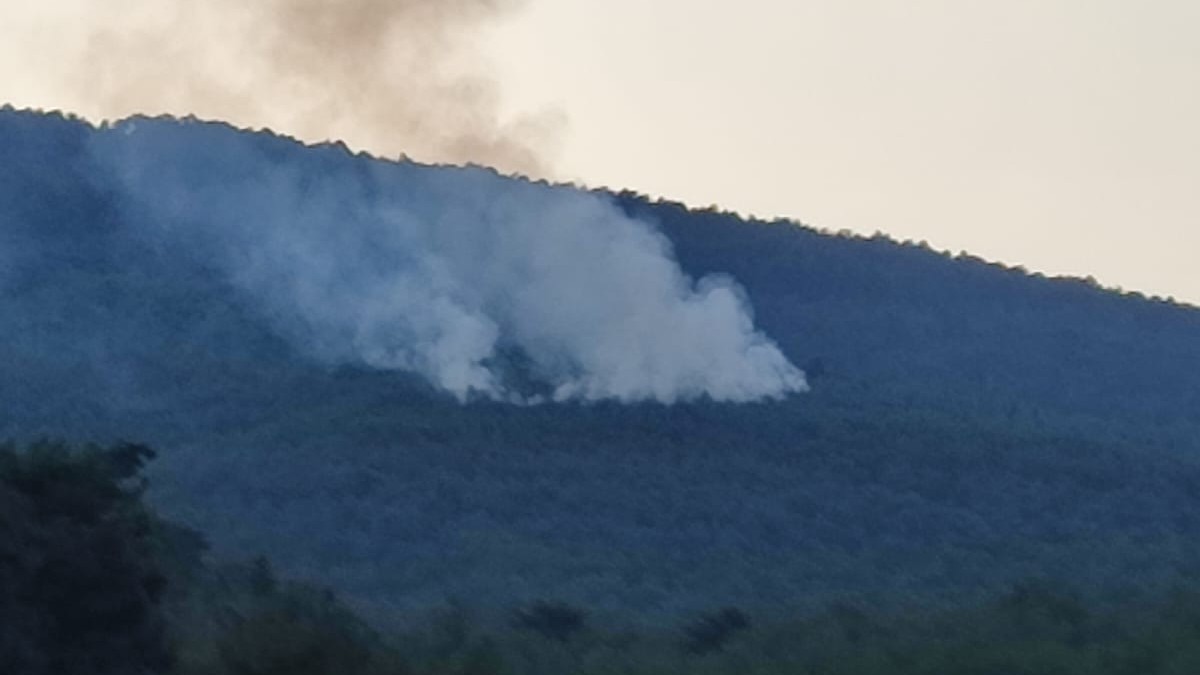 İzmir'de yıldırım isabet etmesi sonucu çıkan orman yangını kontrol altına alındı