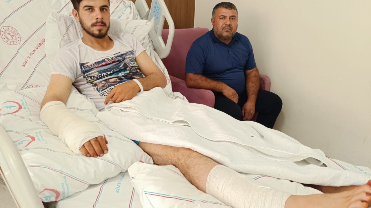 Siirt'te çobanlık yapan genç ayı saldırısı sonucu yaralandı