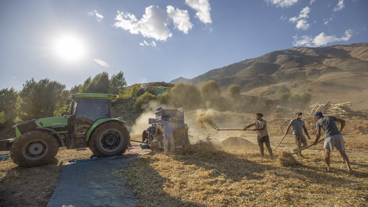 Tunceli Ovacık'ta 205 çiftçi 3 bin 671 dekarda fasulye üretiyor