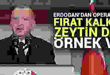 Başkan Erdoğan''dan operasyon mesajı