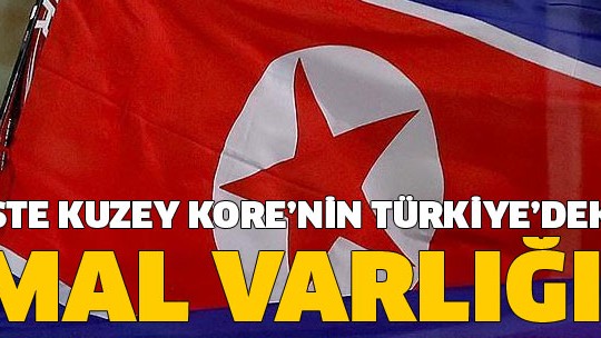 Kuzey Kore'nin Türkiye'deki mal varlığı dondurulacak
