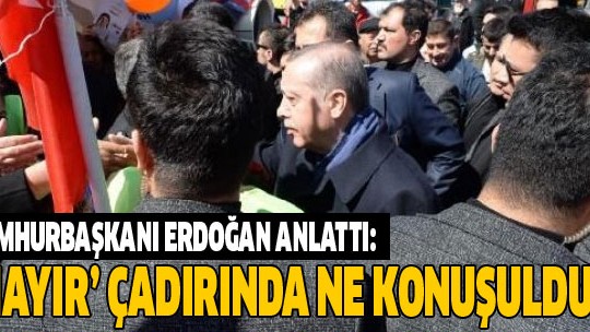 Cumhurbaşkanı Erdoğan 'hayır' çadırında konuşulanları anlattı