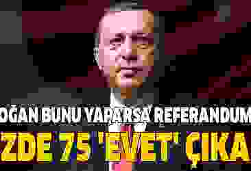 'Erdoğan bunu yaparsa referandumdan yüzde 75 'evet' çıkar'