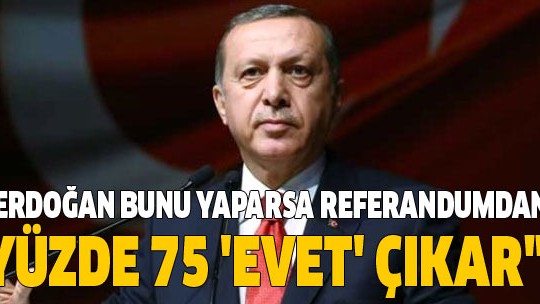 'Erdoğan bunu yaparsa referandumdan yüzde 75 'evet' çıkar'