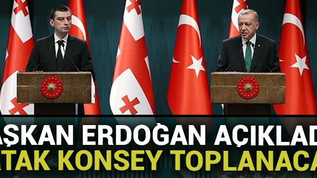 Başkan Erdoğan: Türkiye-Gürcistan stratejik iş birliği konseyi toplanacak